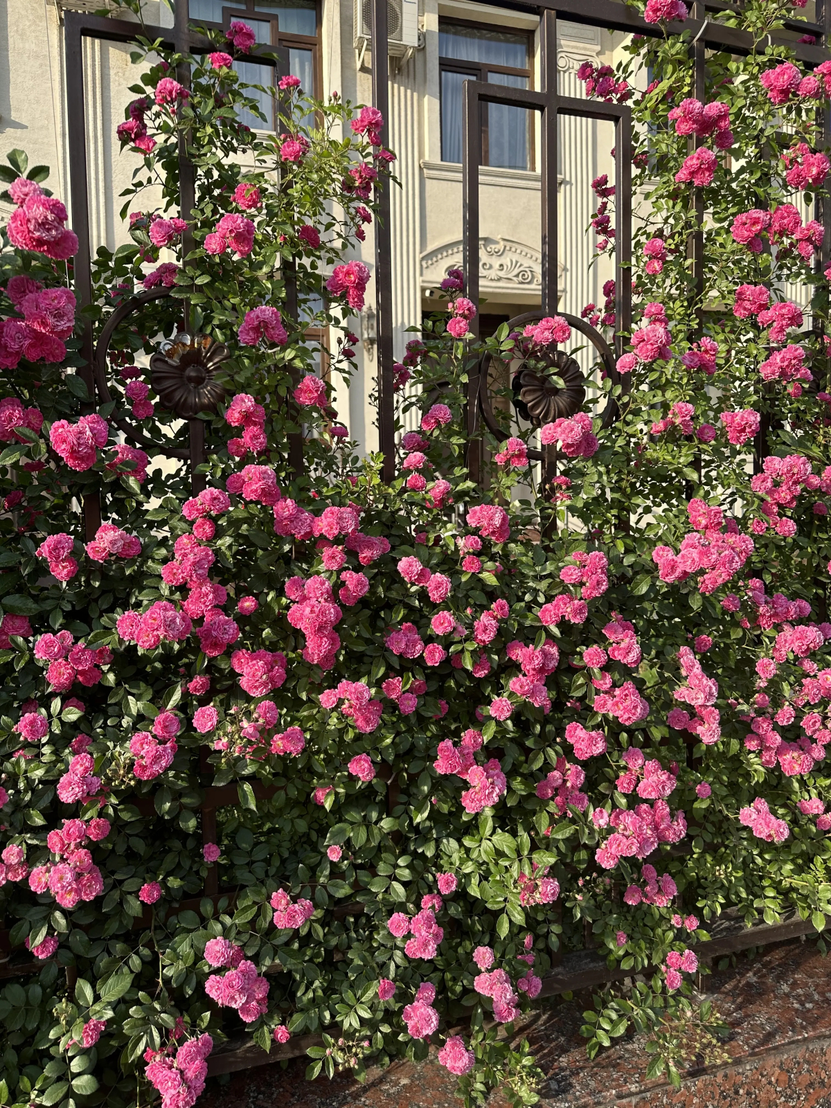 Бутик-отель Eurolux