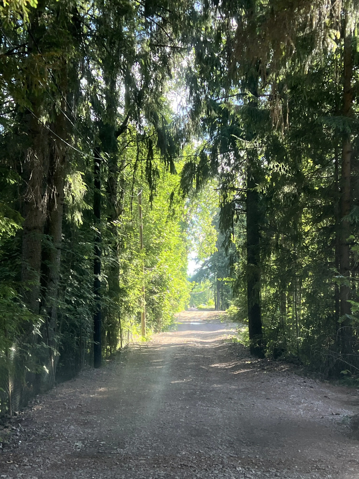 Частный дом SkandyVillage