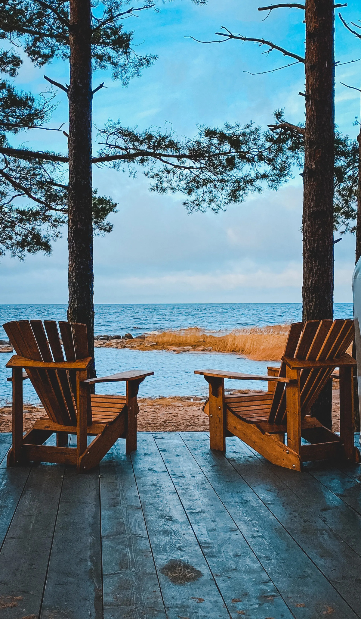 Глэмпинг Веззика