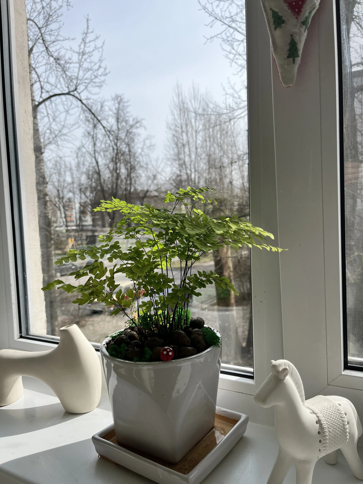 Апартаменты Двухкомнатные недалеко от вокзалов Sinyaya ptichka