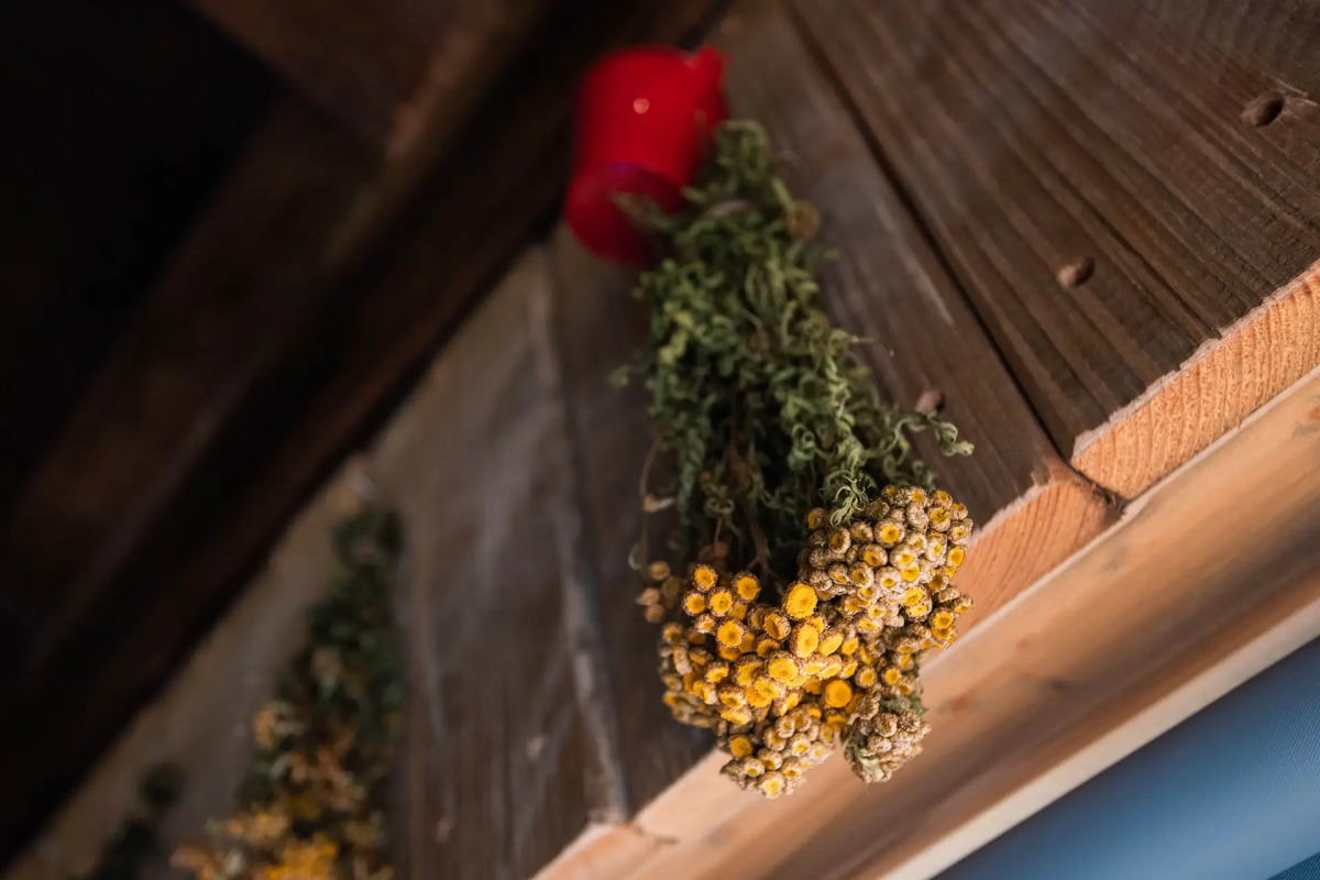 Апартаменты Удивительное Рядом 1