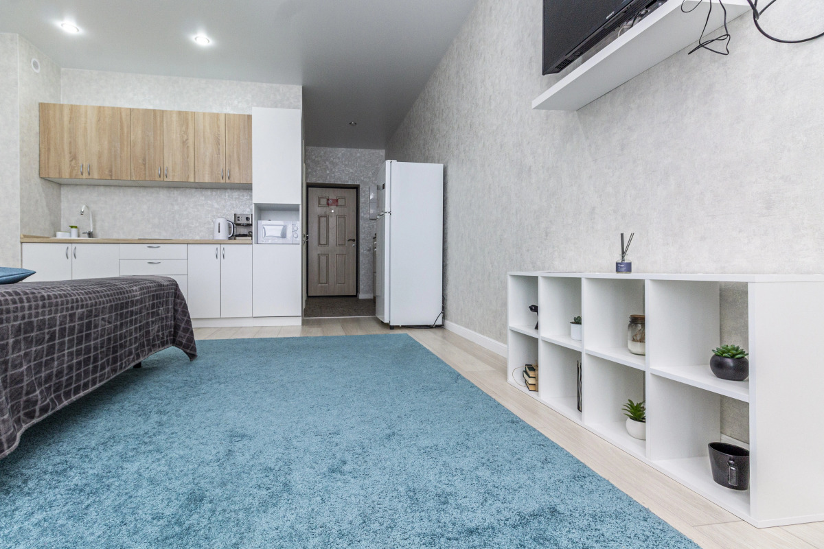 Апартаменты Диван-Кровать на берегу реки с потрясающим видом