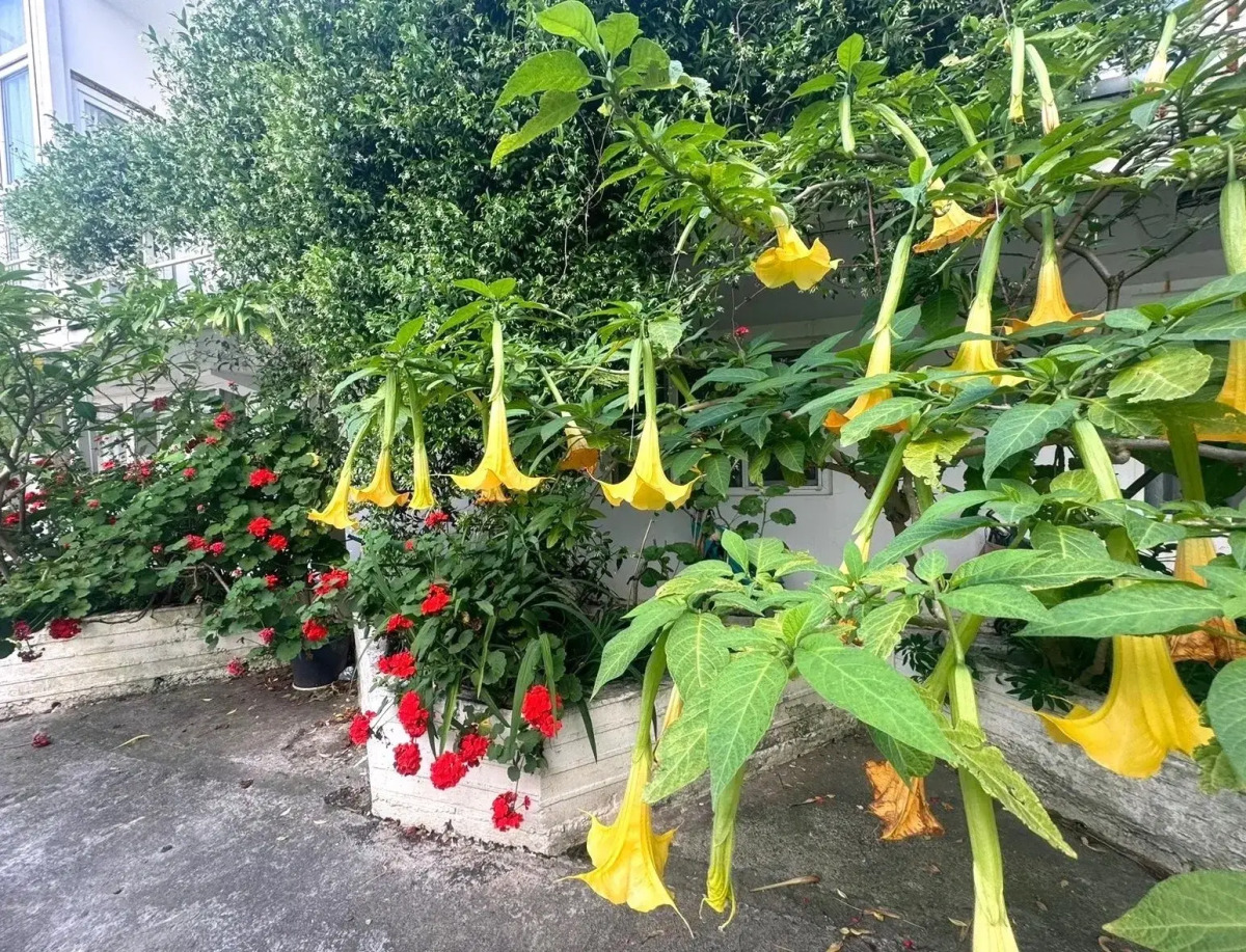 Гостевой дом Лазурный