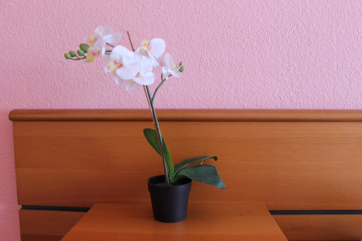 Мини-Отель В центре