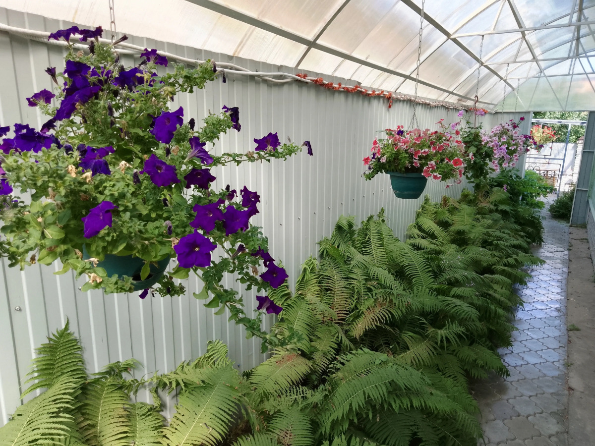 Гостевой дом Спасс