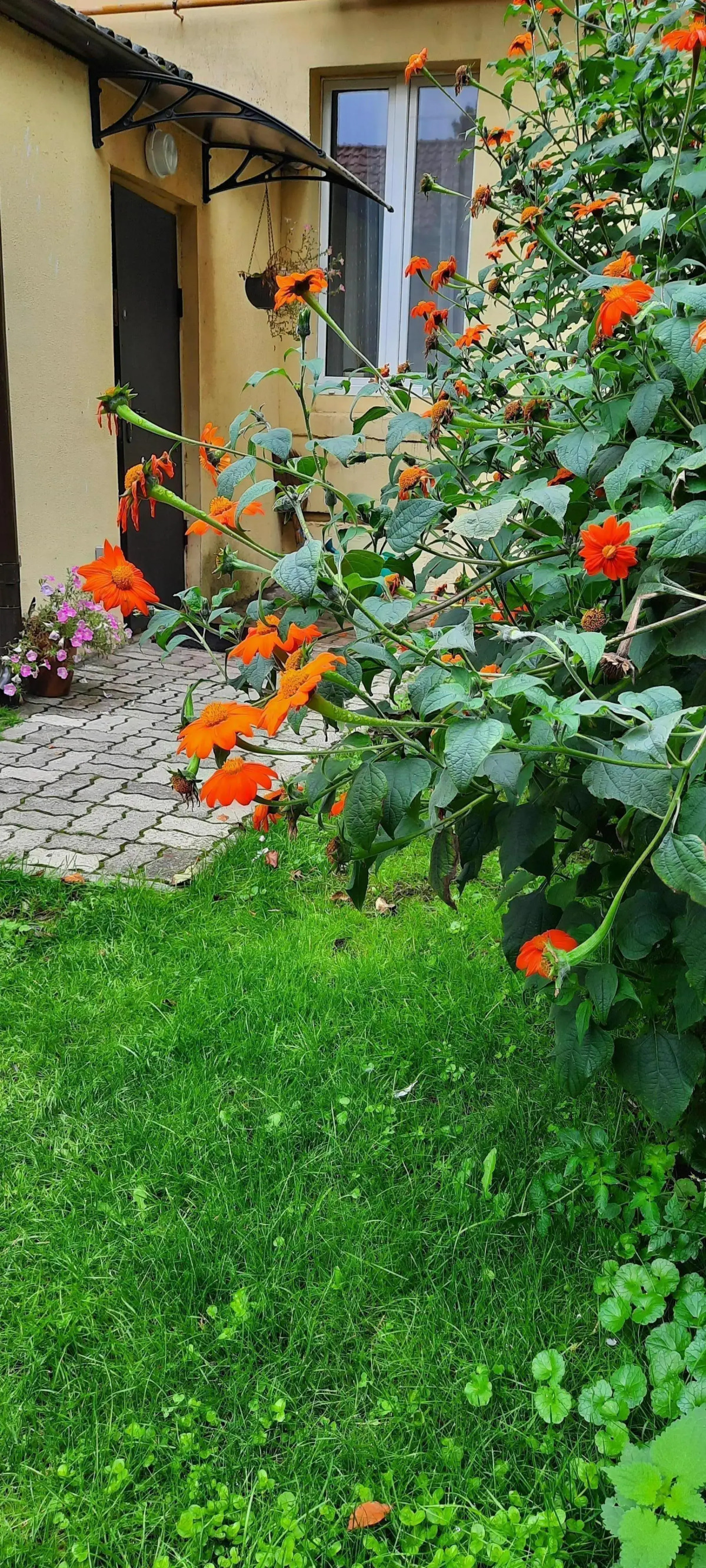 Квартира 2-х комнатная квартира с отдельным входом