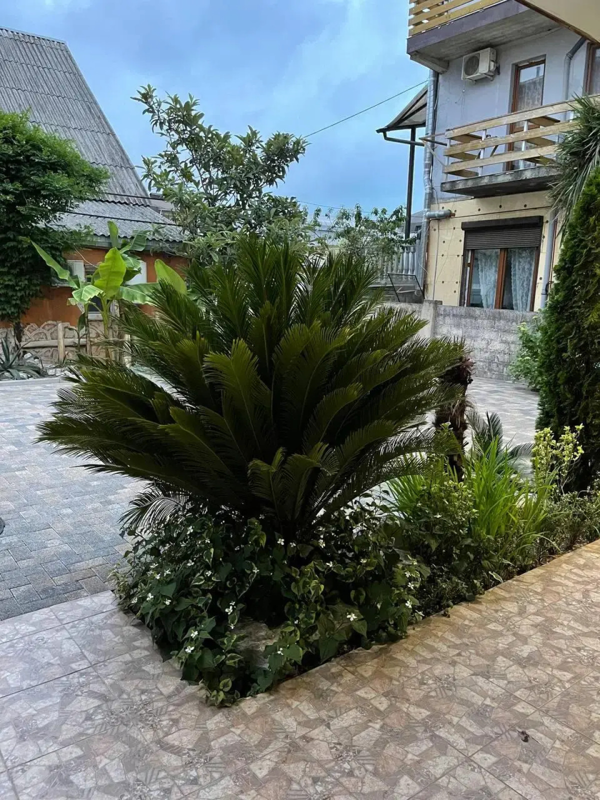 Гостевой Дом Солнечный Дворик Переулок Пихтовый 24