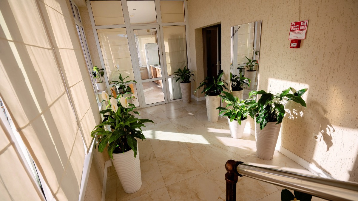 Гостевой дом Амиго