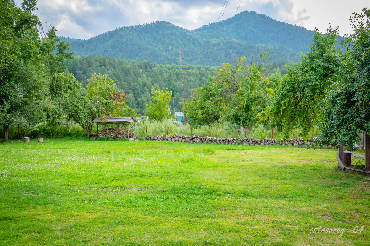 Усадьба Золотой медведь