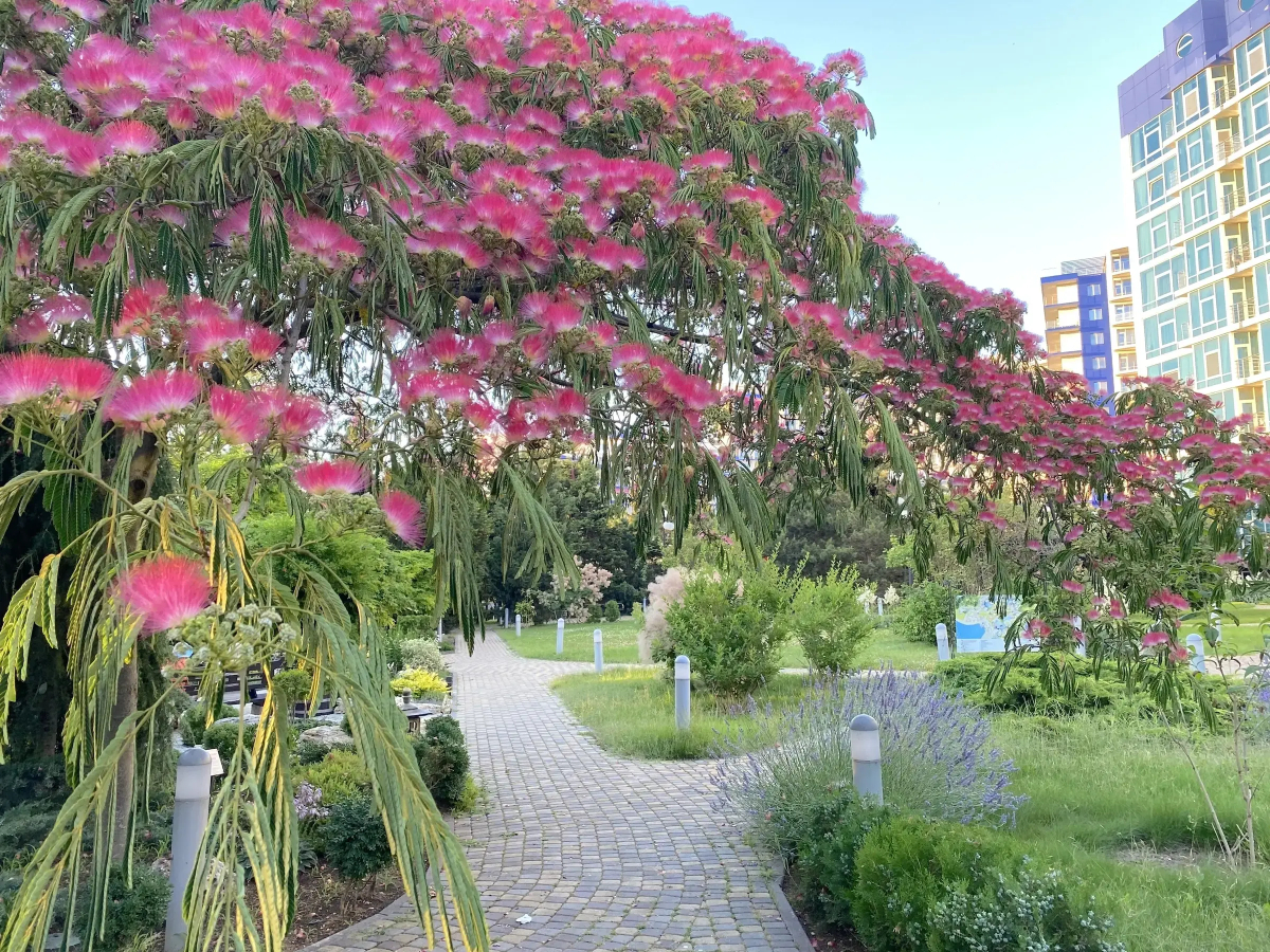 Апартаменты Аквамарин Resort