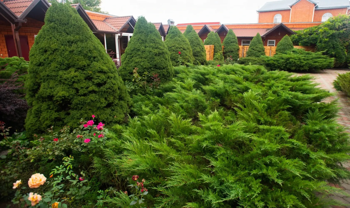 Гостевой дом Усадьба Александрия