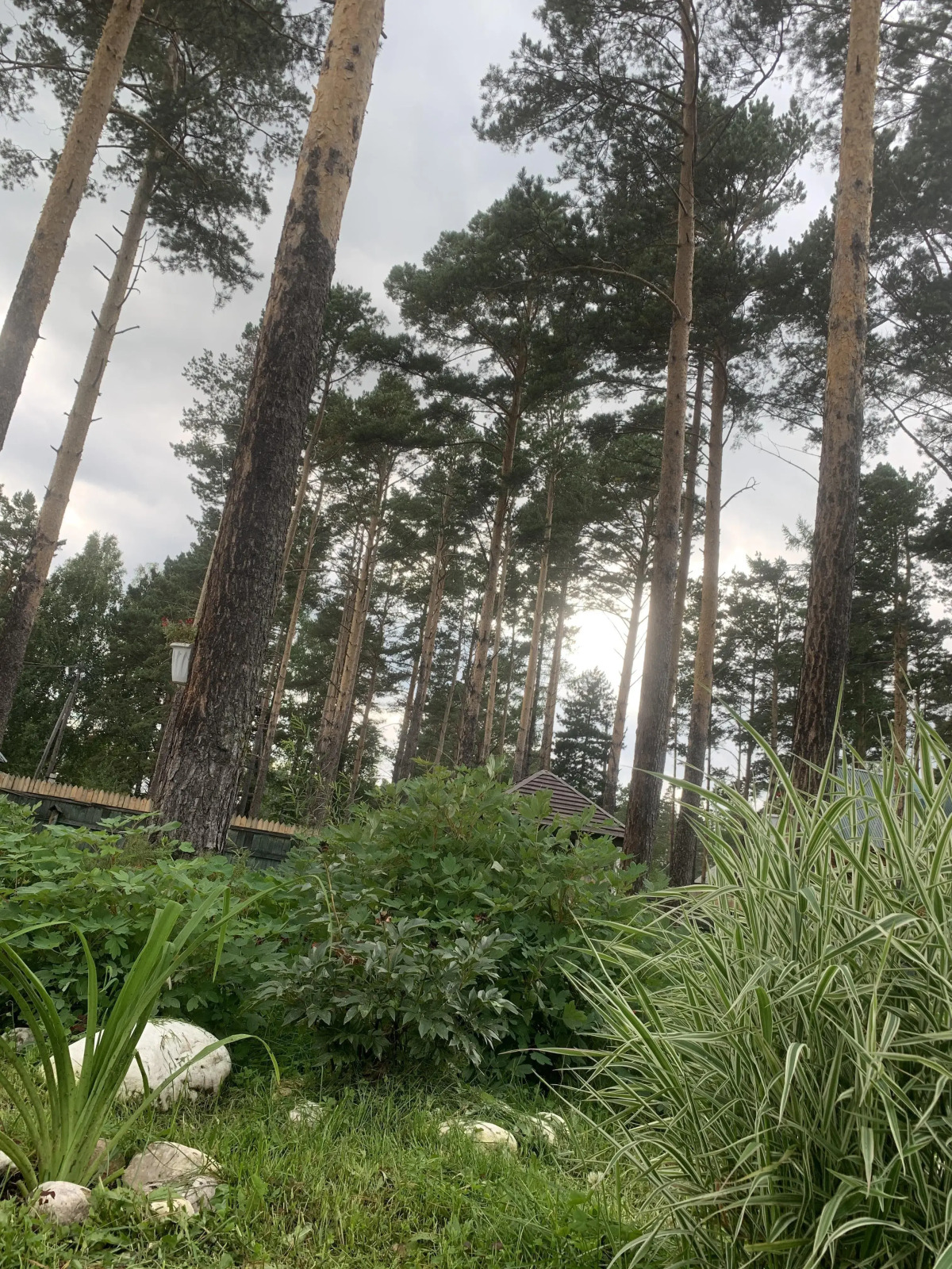 Мини-отель Подснежник