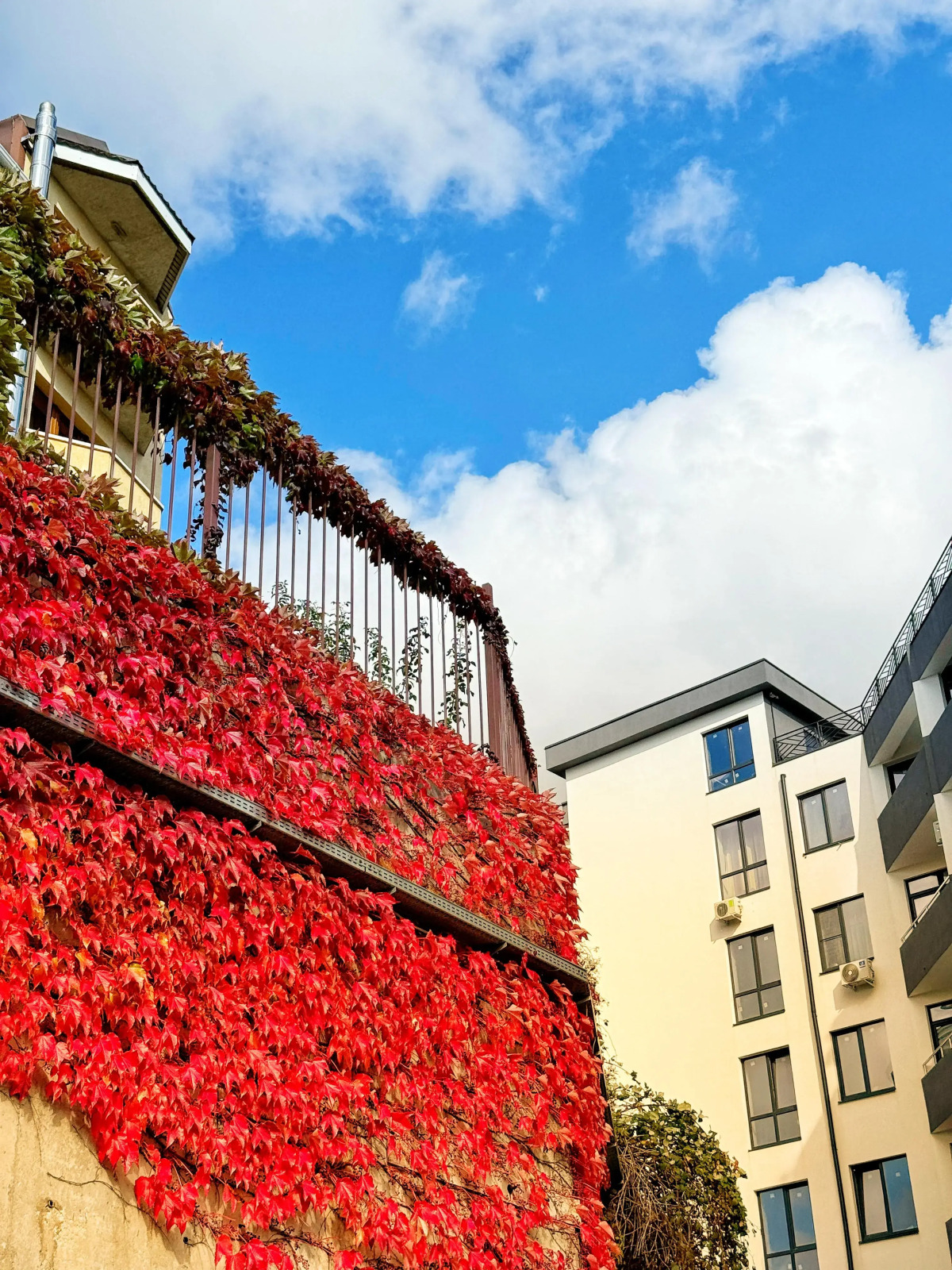 Апартаменты с балконом 3 минуты до моря