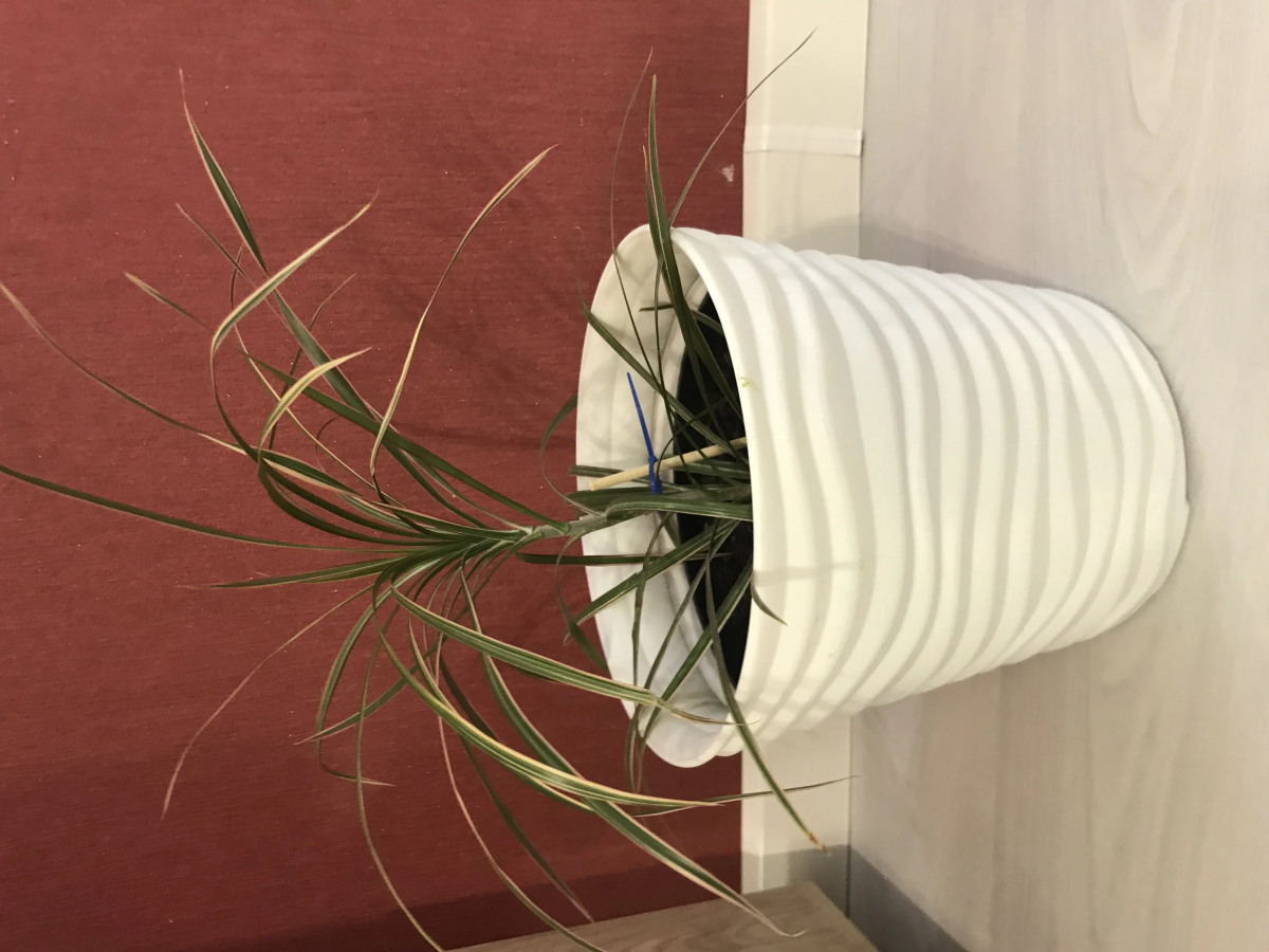 Апартаменты 1001 ночь на Соммера