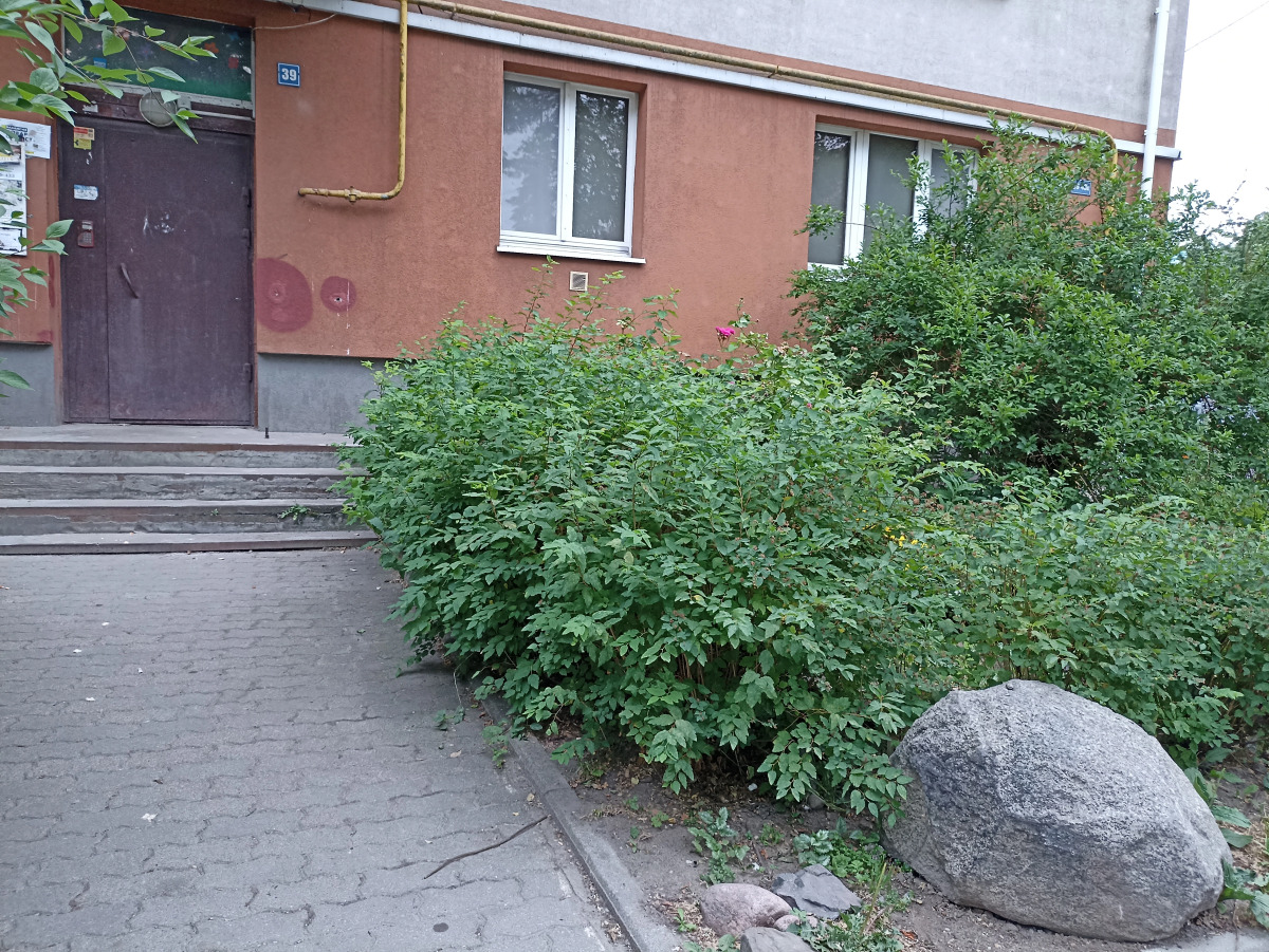 Квартира  "Балтийские ночи" у Верхнего Озера и Музея Янтаря