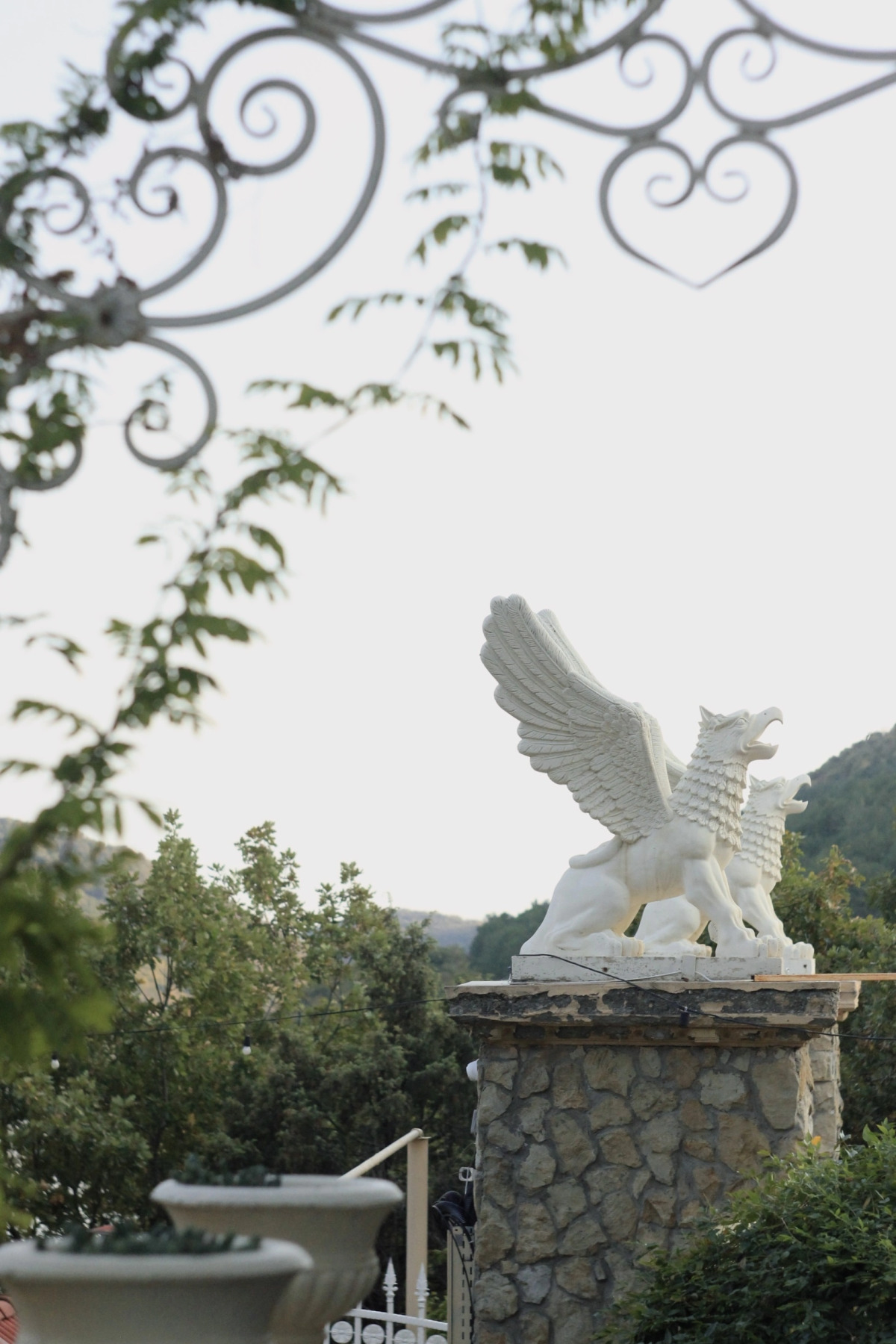 Отель Крылья