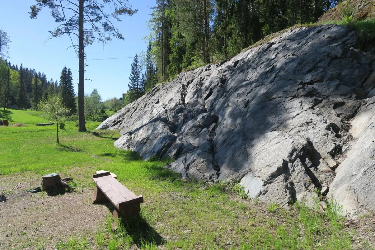 Гостевой дом 5 VILLANORDA