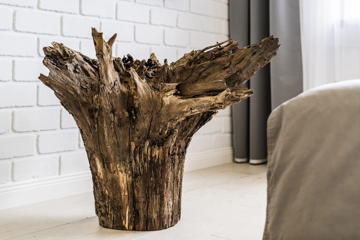 Секвойя by Uloo