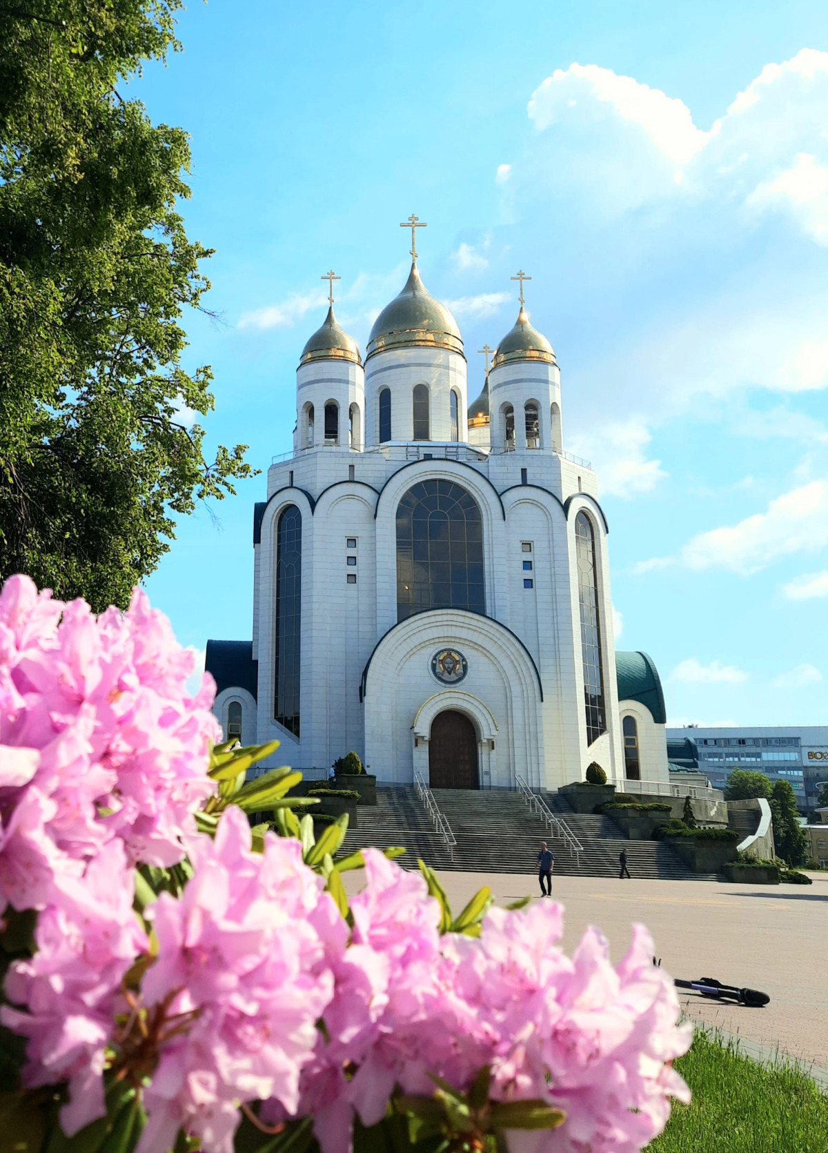 Квартира Отличная 2к в Центре Калининграда