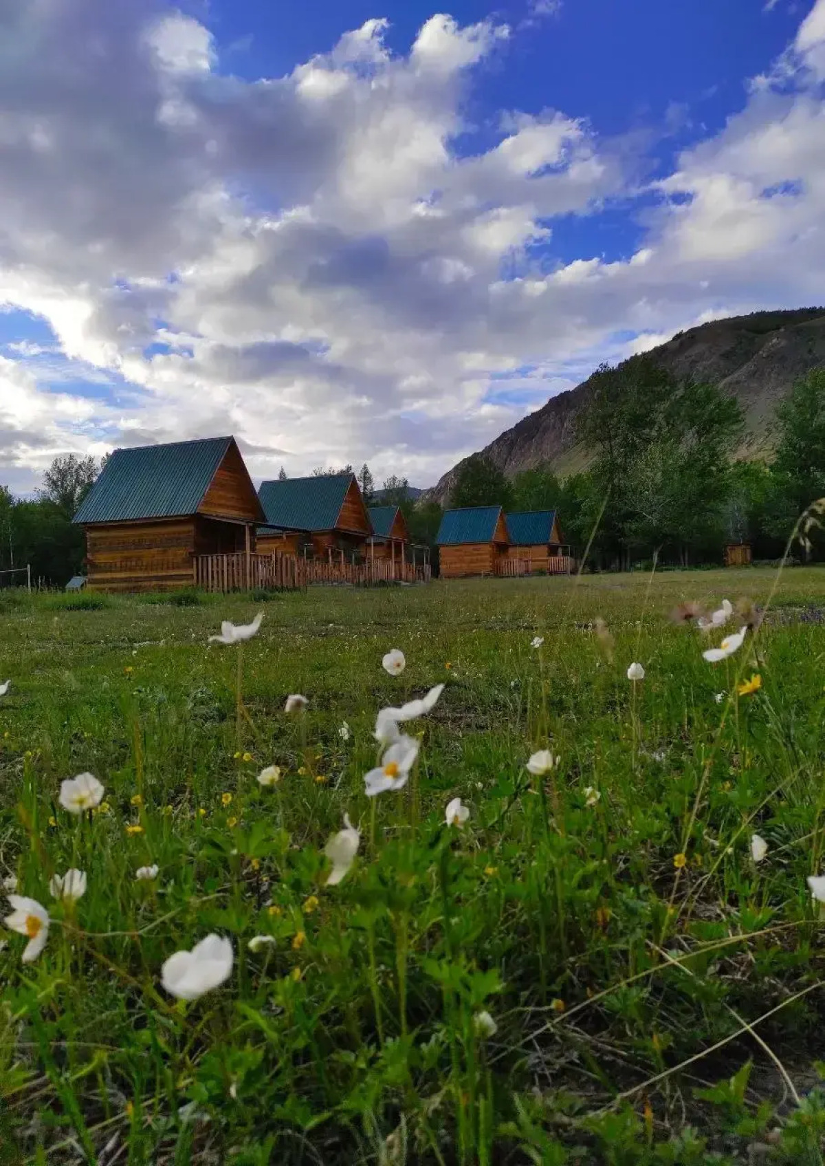 База отдыха Софийская Поляна