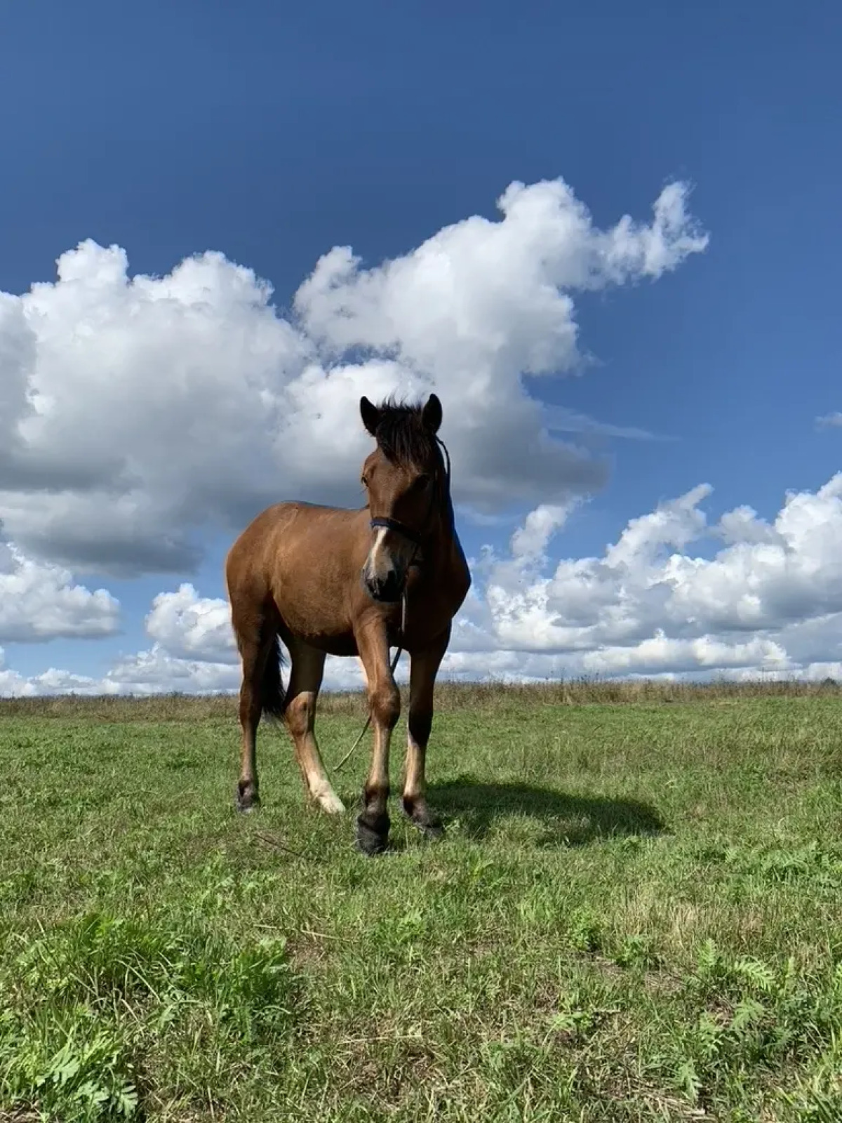 База отдыха ZAгород