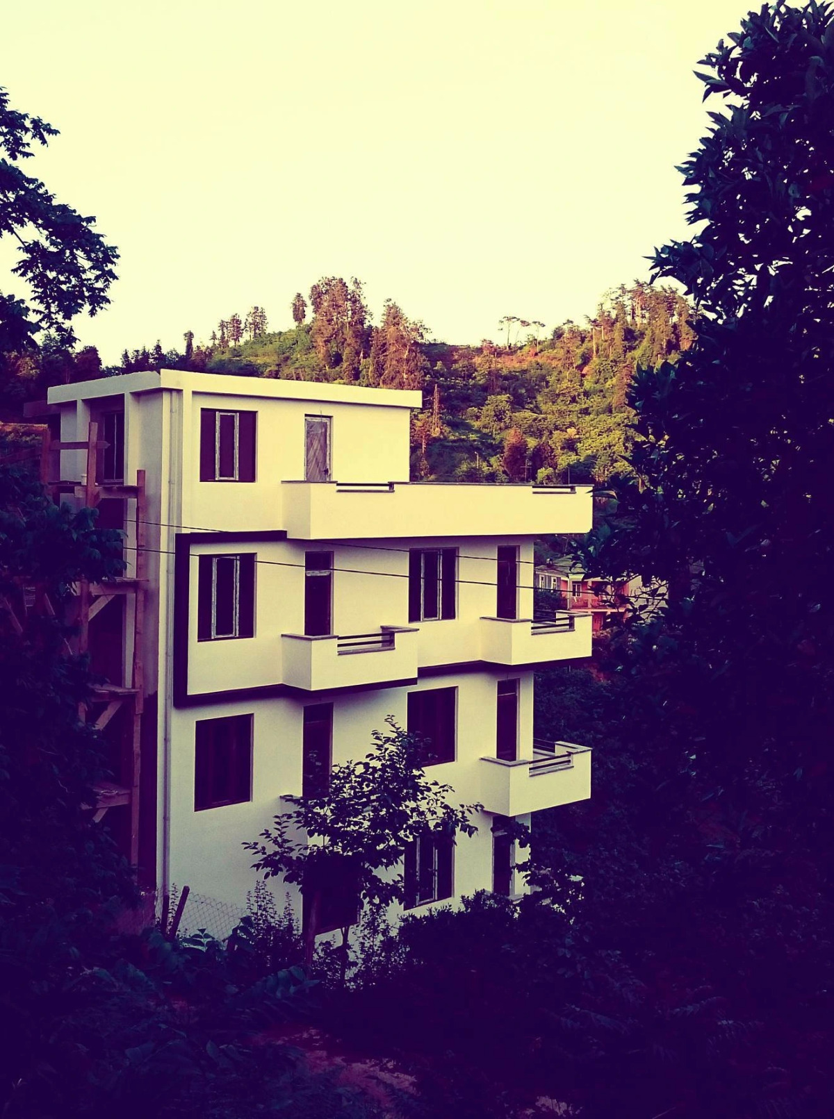 Гостевой дом Holiday House Green Cape Batumi