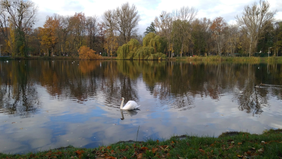 Квартира Дом Путешественника