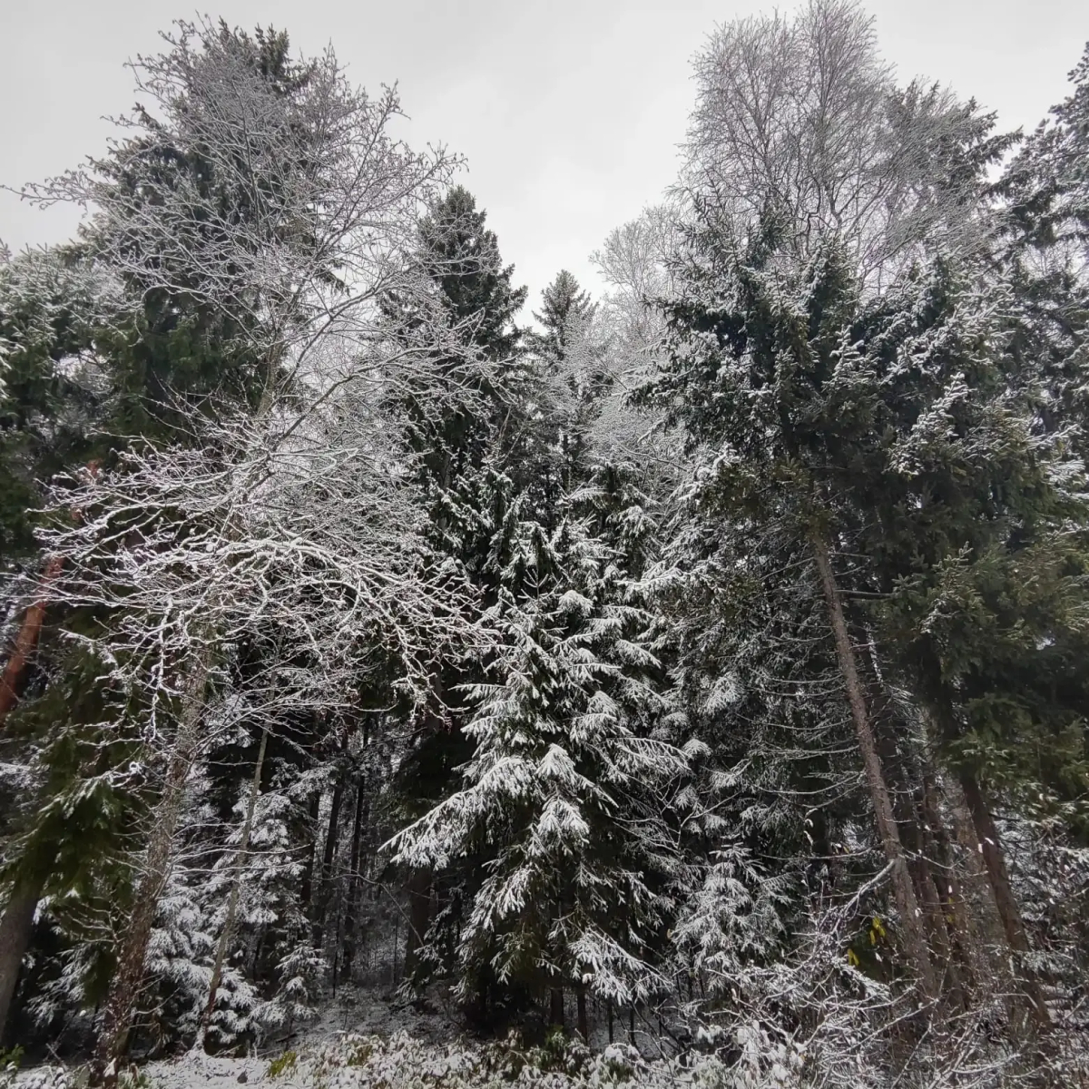 Гостевой дом Inkeriloft