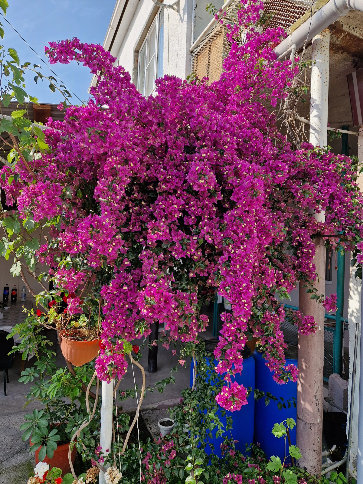 Гостевой дом Шапсугская 6А