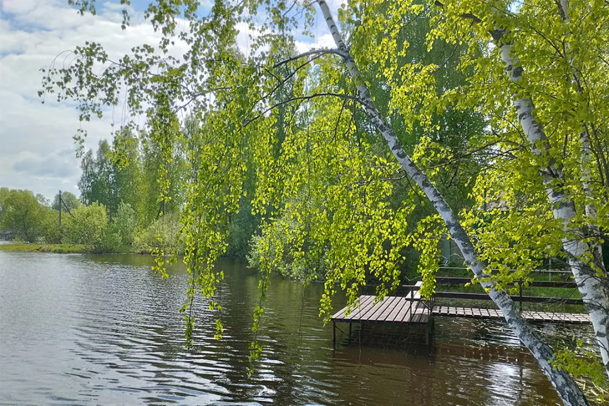 Гостевой дом На Чеснаве