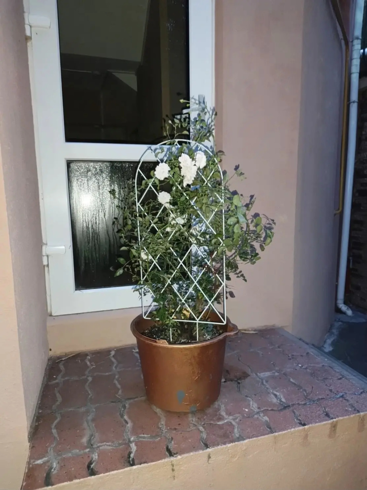 Гостевой дом Бамбуковый Рай