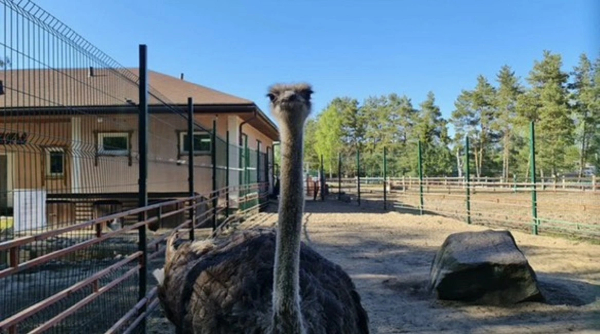 Апарт-отель Комплекс здоровья и отдыха Коверши