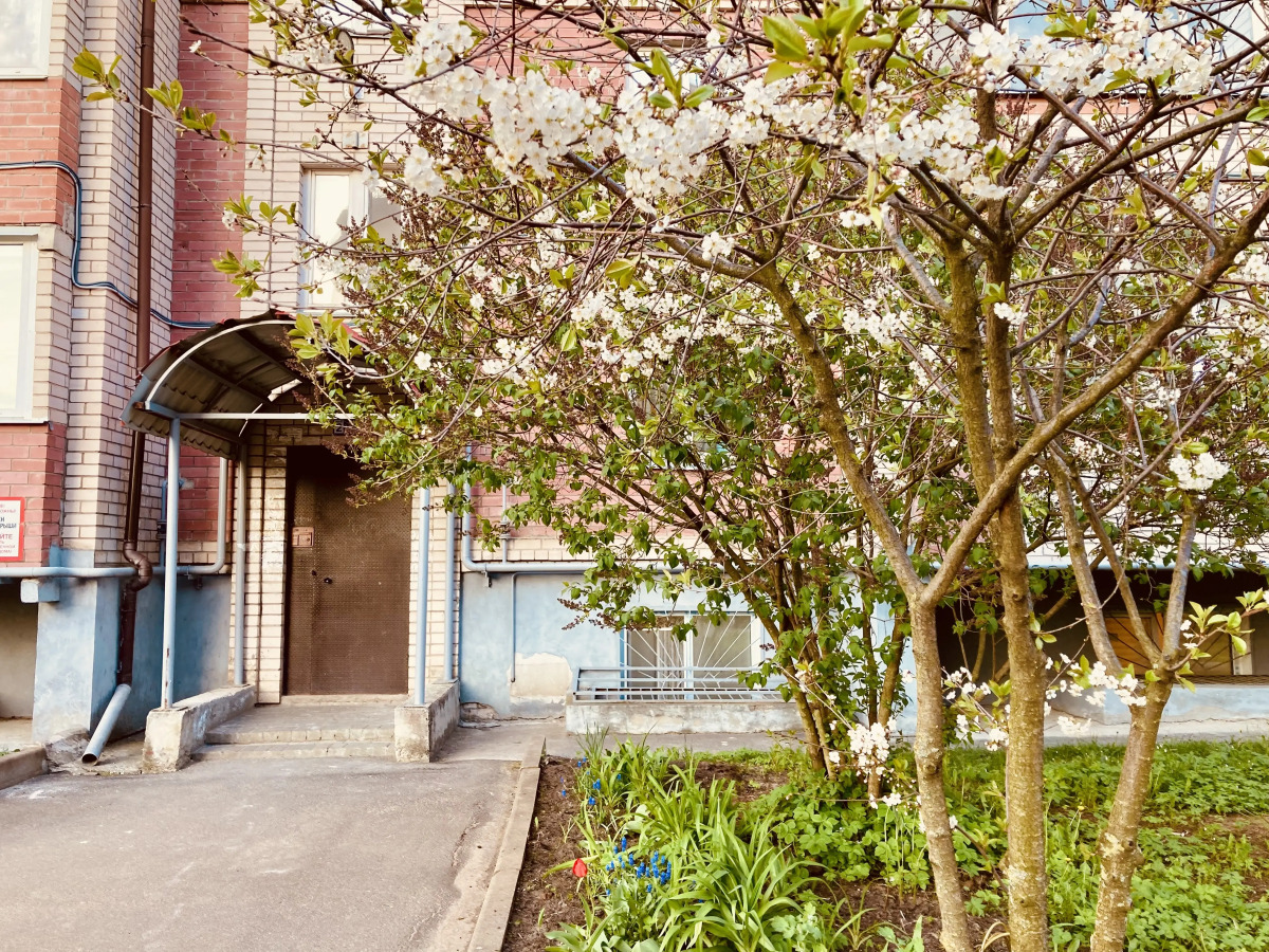 Квартира InterCity