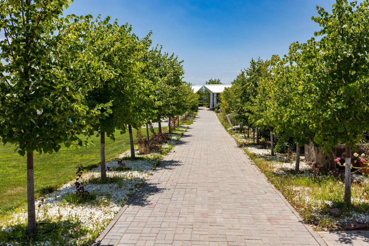 База отдыха La Dolce Vita