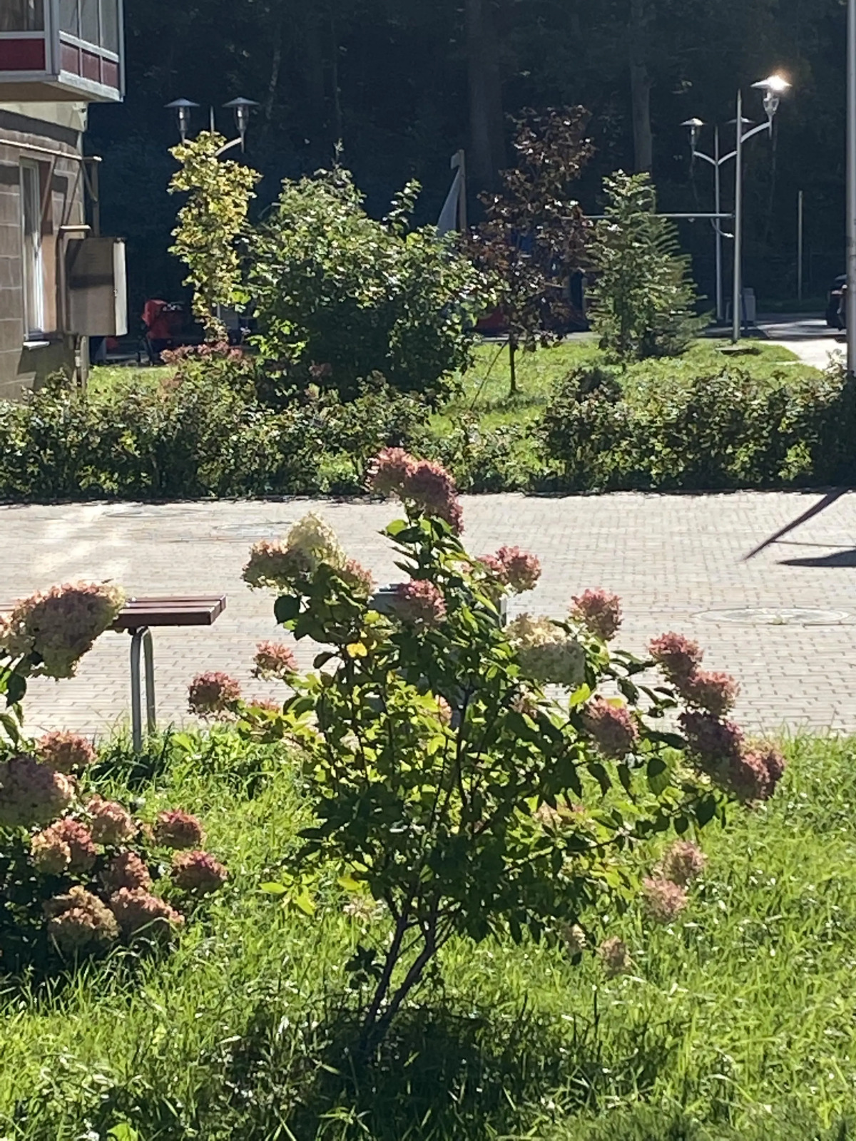 Апартаменты Оливия возле Озера