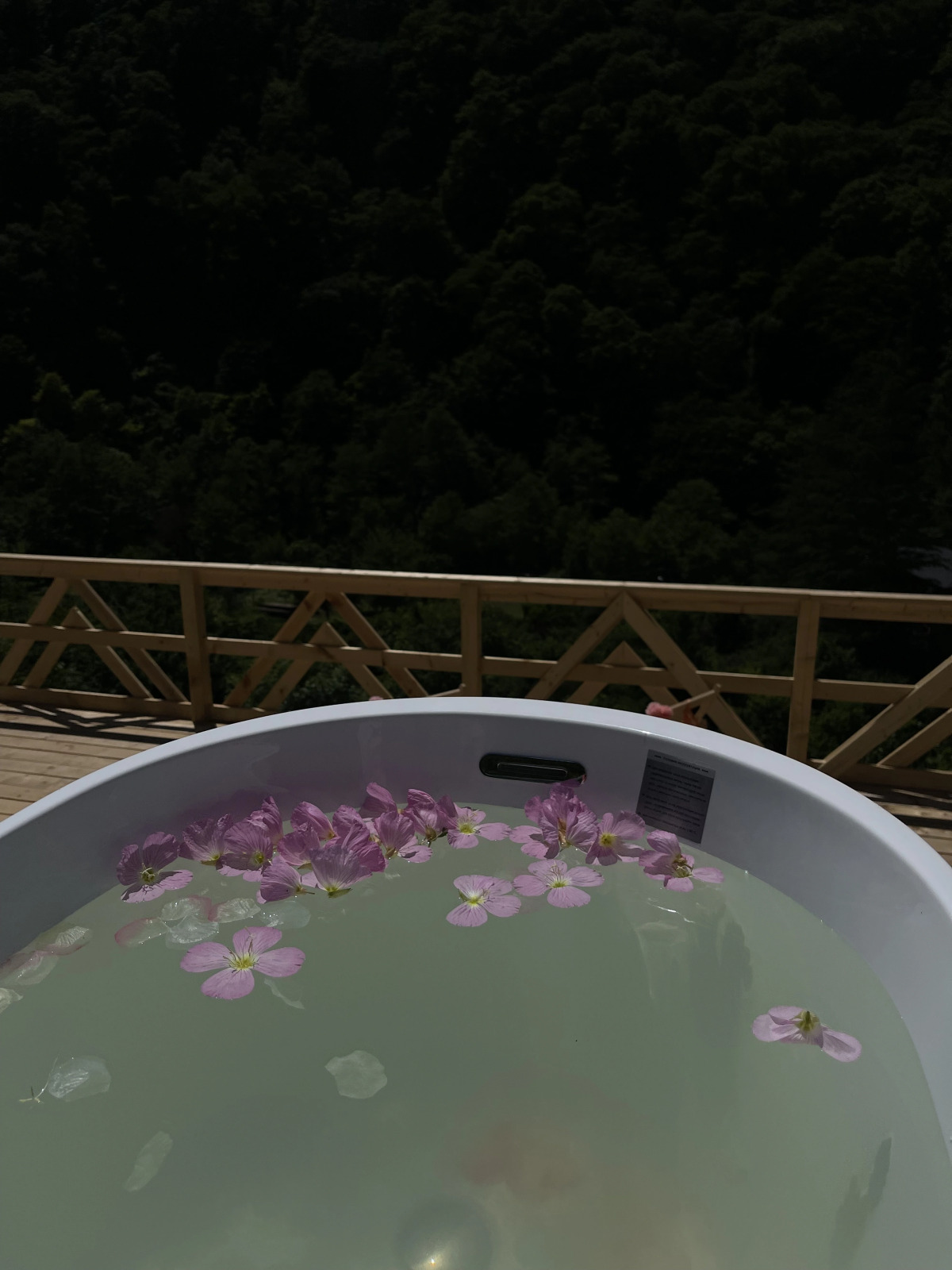 Бутик-отель Фазенда