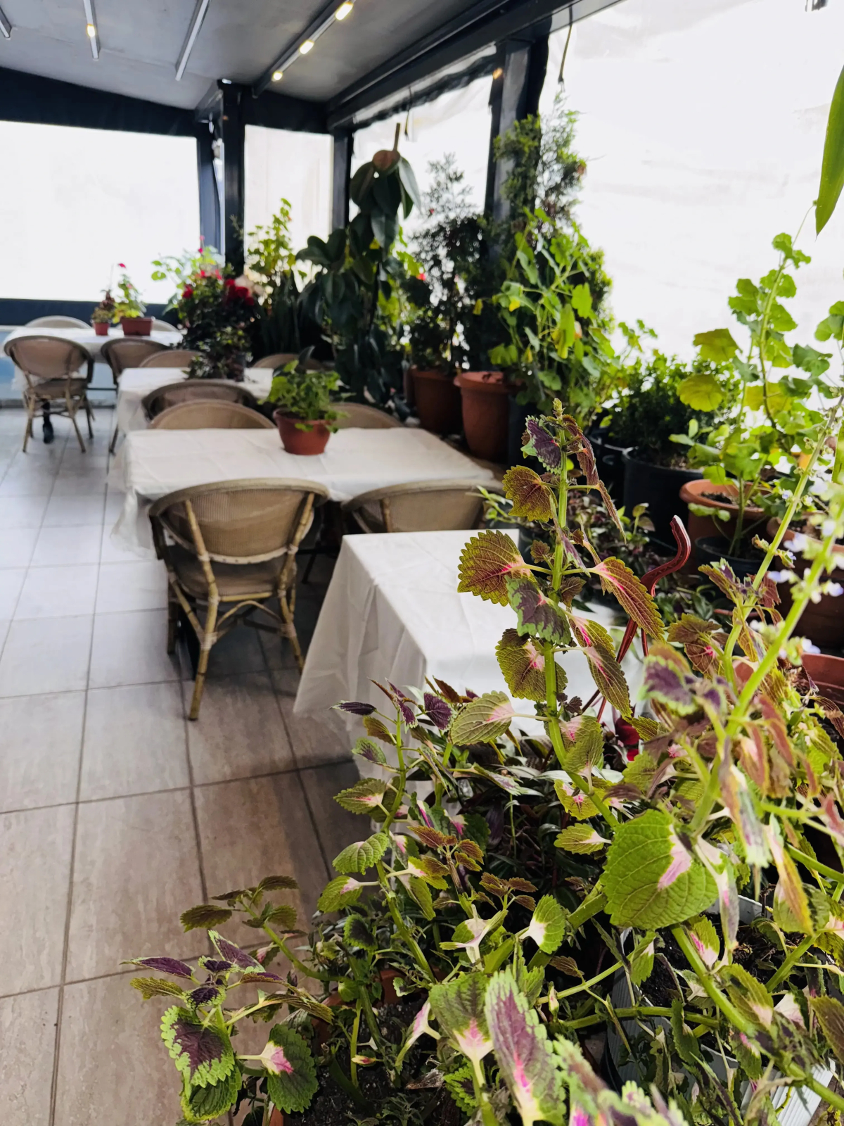 Отель Renova Old City