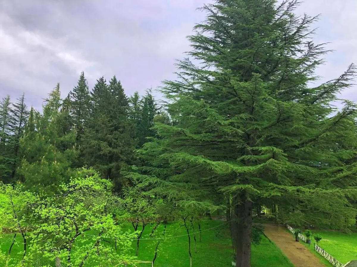 Отель Park Hotel Imeri