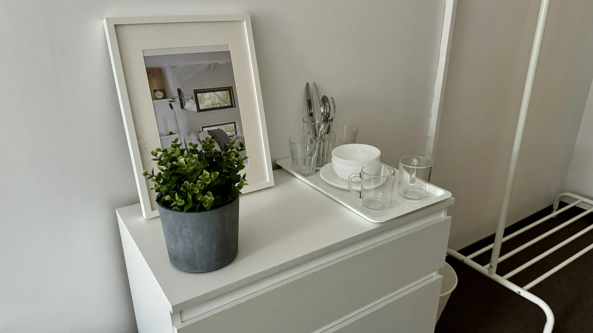 Меблированные комнаты на Никитской (Км11)