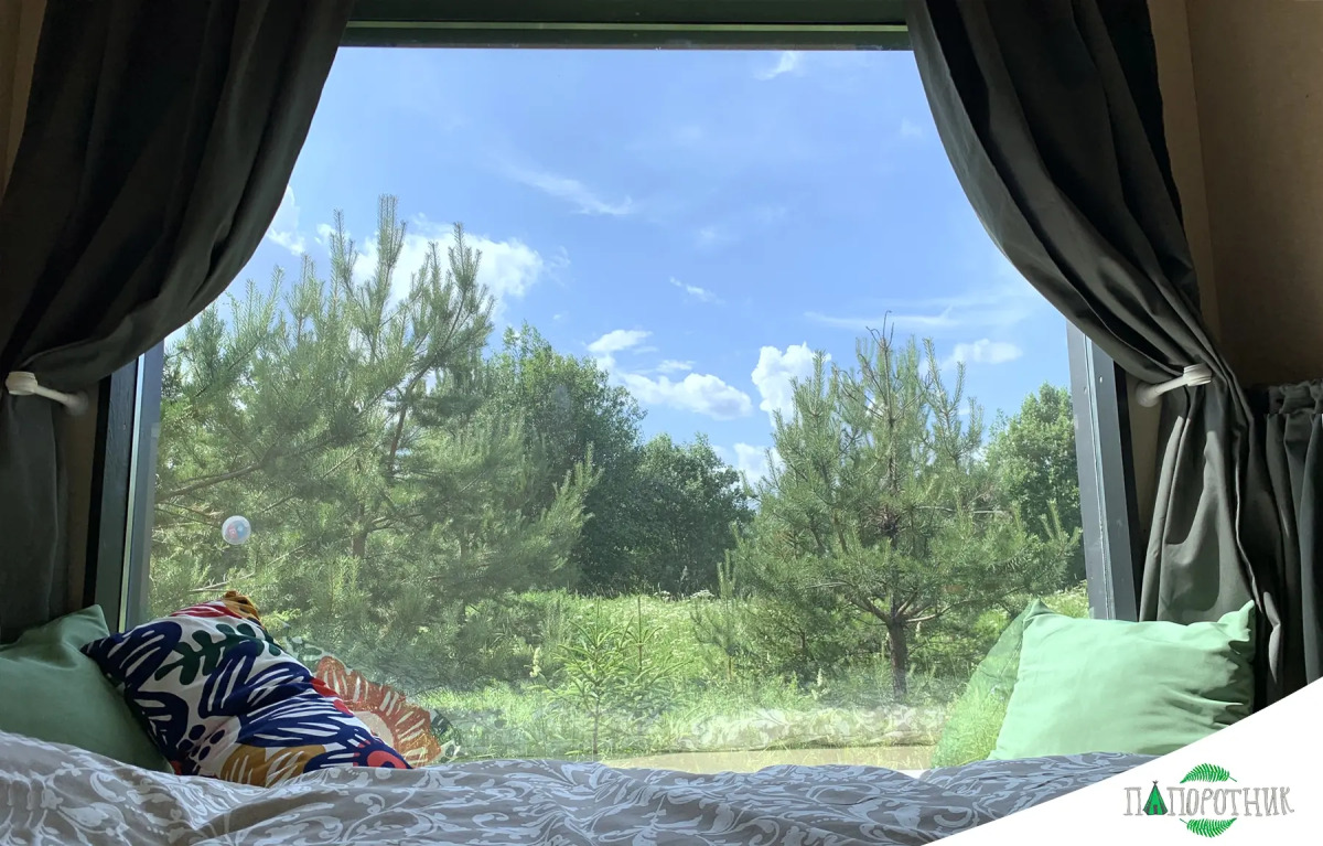 Глэмпинг Папоротник