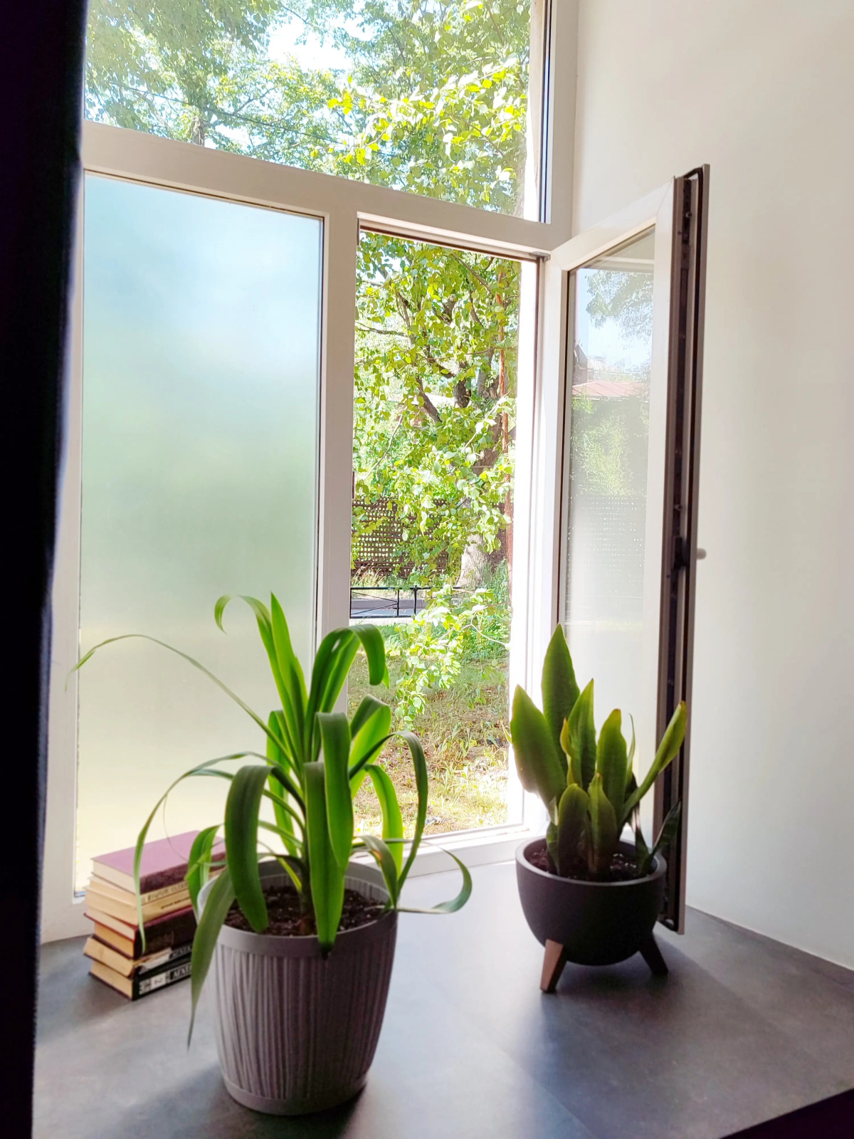 Квартира Студия