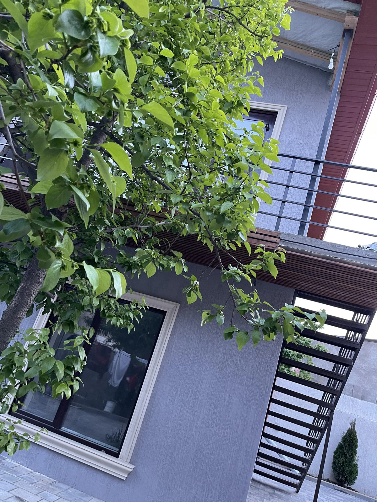 Гостевой дом у моря на Габиева