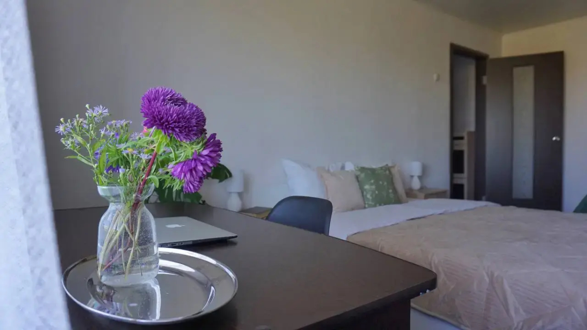 Квартира Однушка в историческом центре