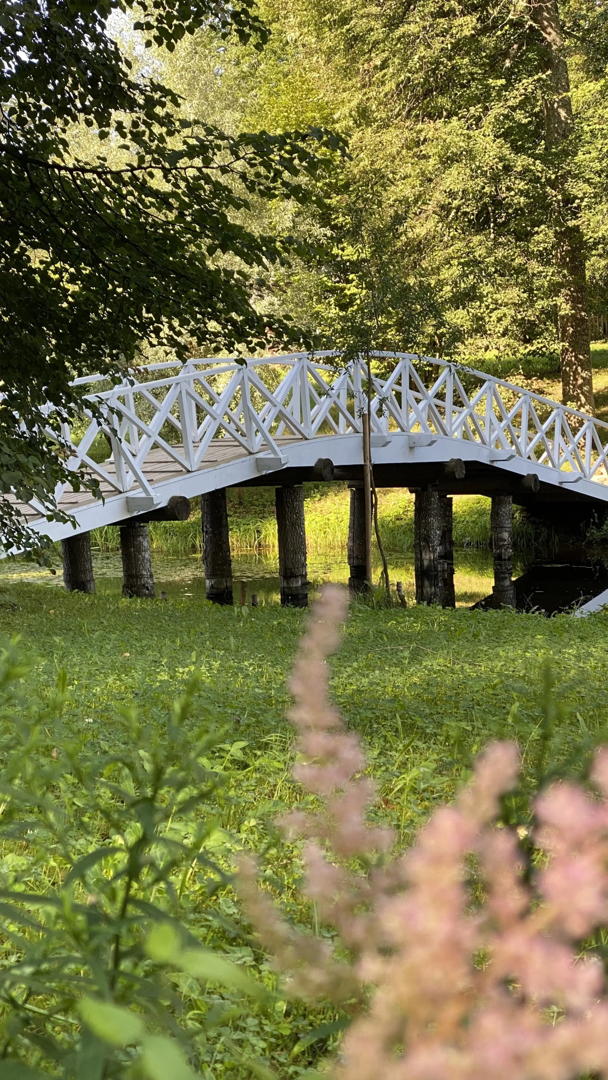 Глэмпинг Князь Гвидон