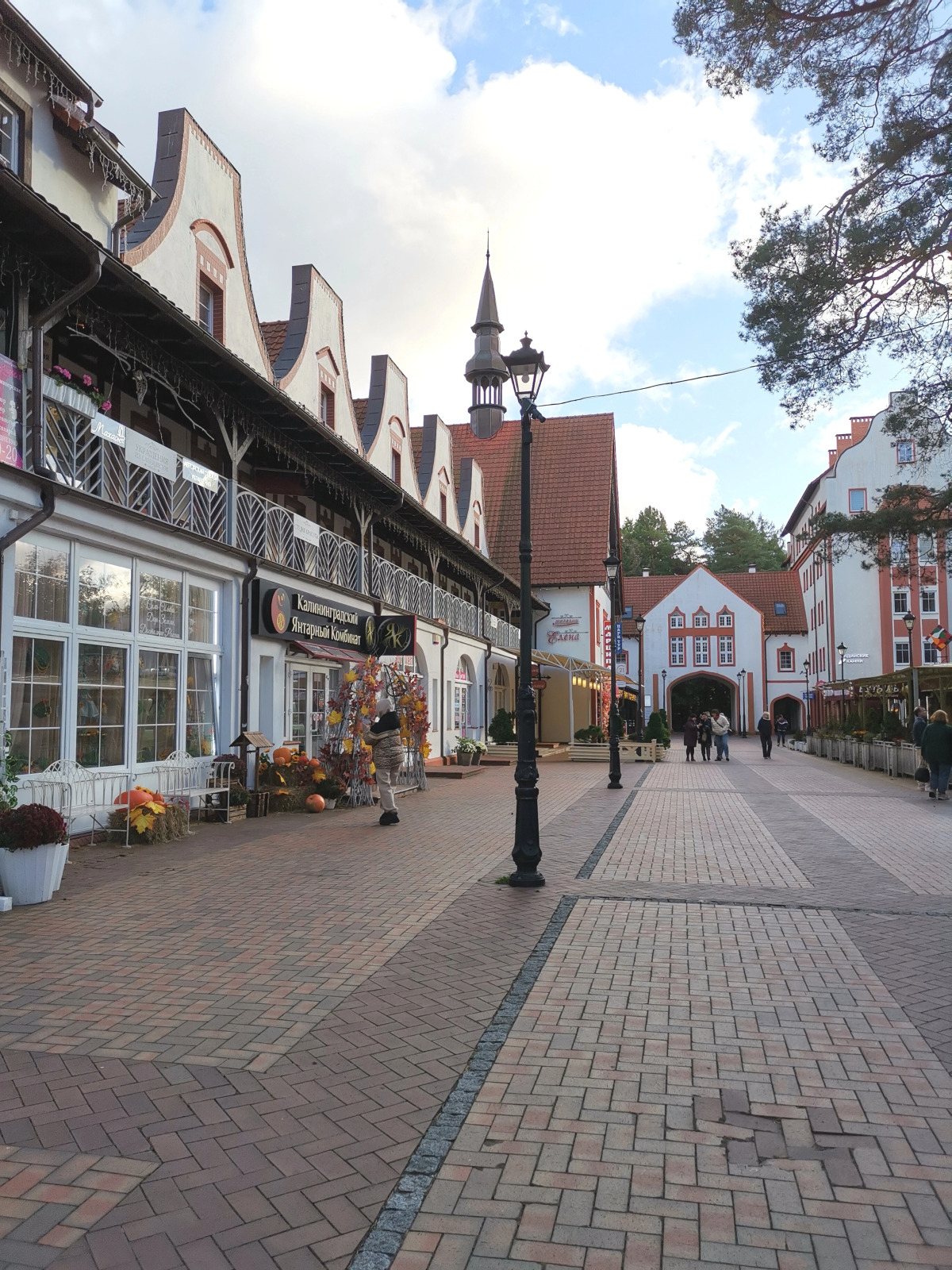 Апартаменты 2 Хоум Раушен в Светлогорске