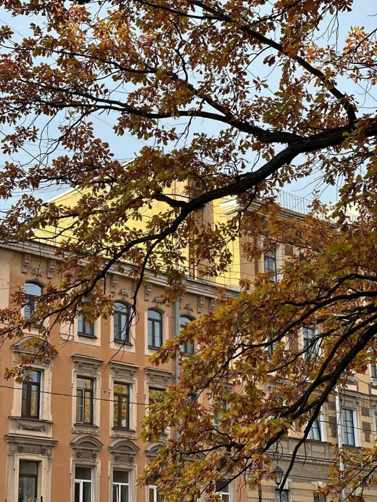 Гостевой дом Белинский