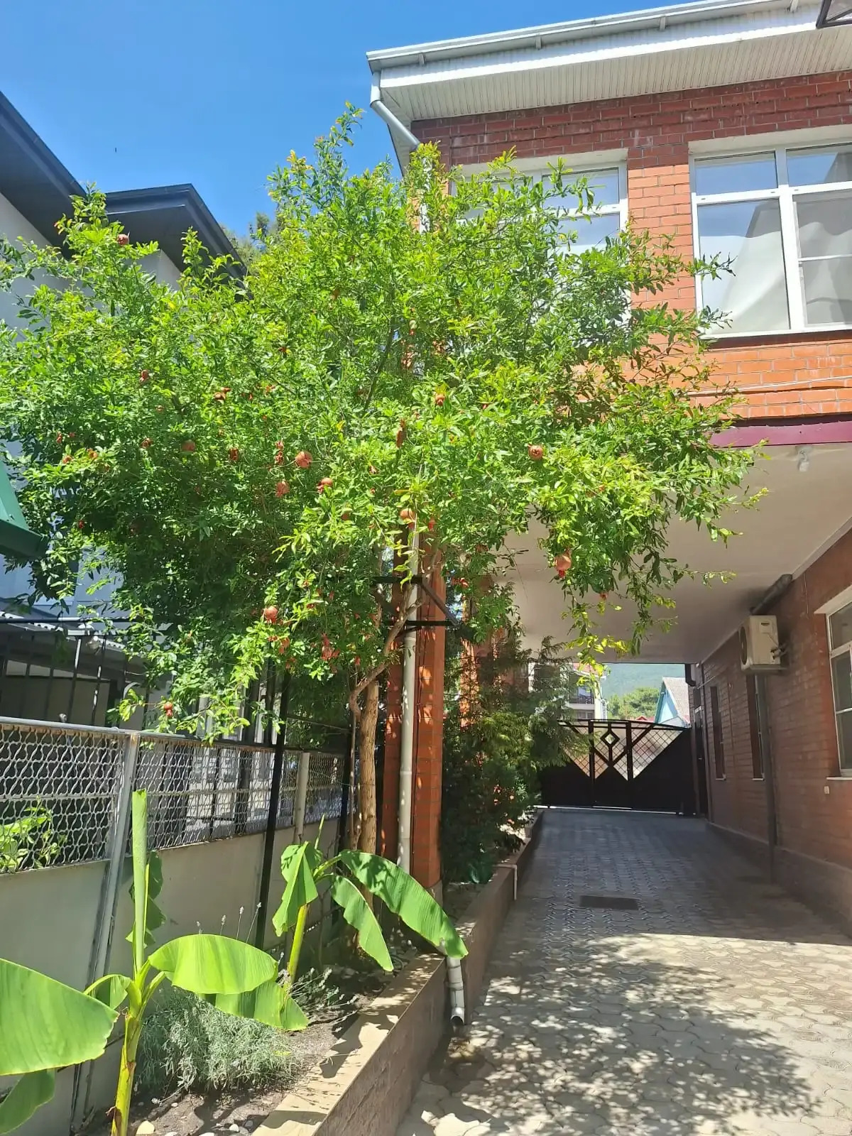 Гостевой дом Цитрус