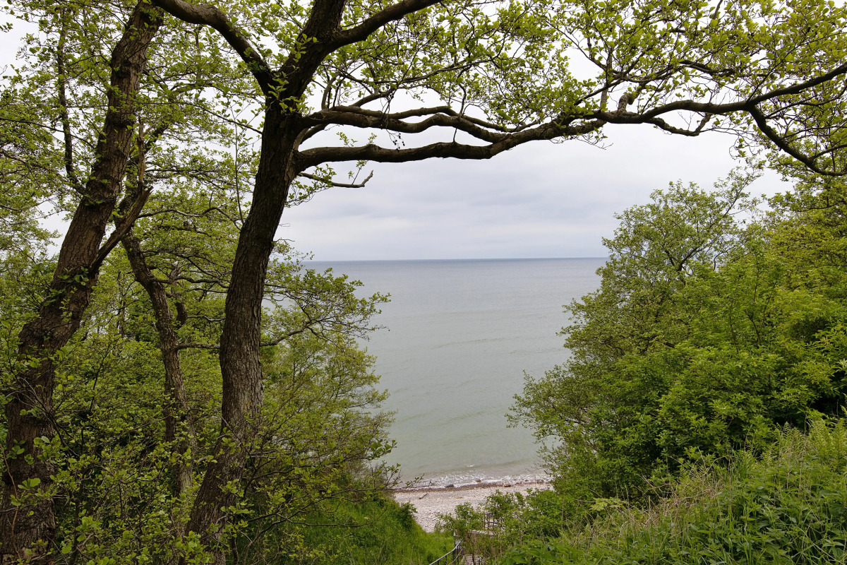 Квартира Уютная в 200м от Балтийского Моря