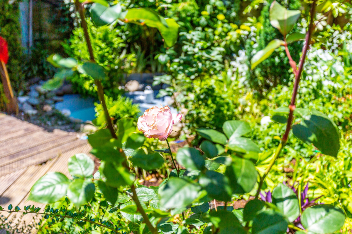 Гостевой Дом Бамбук-Хутор