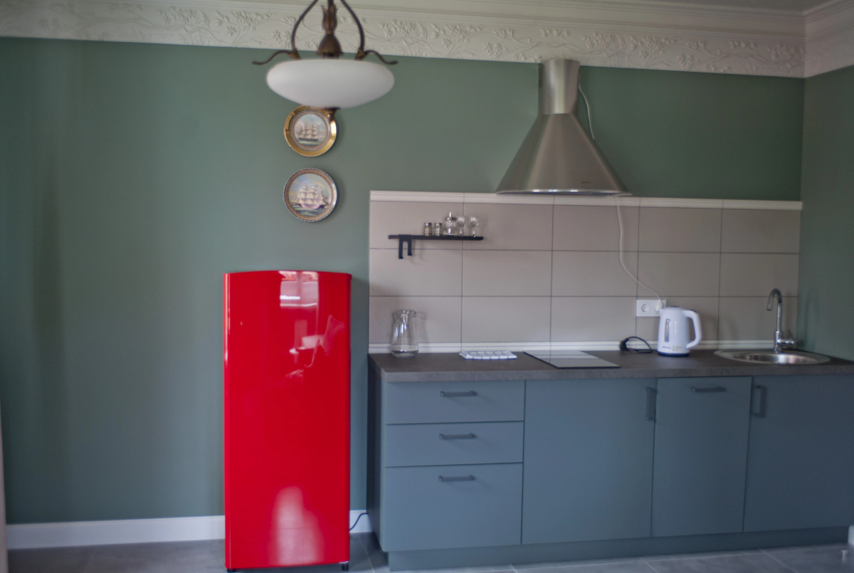 Апартаменты Plantage 1 на Пионерской